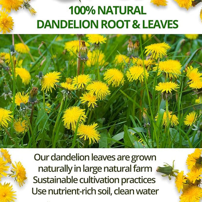 VIDA FARM 100 Dandelion Tea Bags - 100% Natural Dandelion Leaf & Root, Sugar Free, Caffeine Free, Non-GMO - Premium Dandelion Root Herbal Tea, Smooth Taste