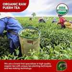 Load image into Gallery viewer, Organic Pu Erh Tea, USDA Certified Organic Raw Puerh Tea Loose Leaf Black Tea, No Dust Production Workshop, Chinese Yunnan Ancient Tree Puer tea Perfect for Hot Brew, 3.5 Oz