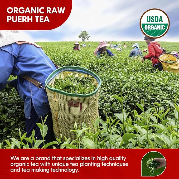 Organic Pu Erh Tea, USDA Certified Organic Raw Puerh Tea Loose Leaf Black Tea, No Dust Production Workshop, Chinese Yunnan Ancient Tree Puer tea Perfect for Hot Brew, 3.5 Oz