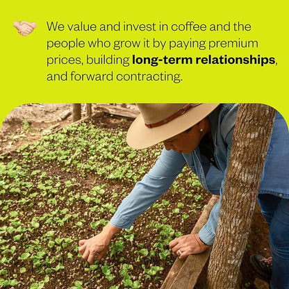 Counter Culture Coffee - Whole Bean Coffee - Multi-Pack - One 12oz Bag of Each (Big Trouble and Forty-Six)