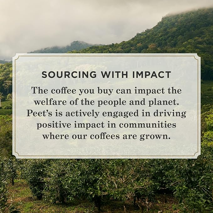 Peet's Coffee, Dark Roast K-Cup Pods for Keurig Brewers - French Roast 96 Count (4 Boxes of 24 K-Cup Pods)