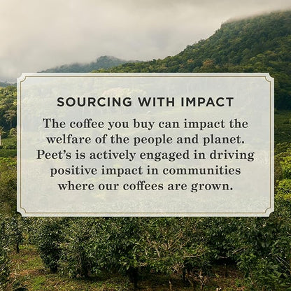 Peet's Coffee, Dark Roast K-Cup Pods for Keurig Brewers - French Roast 96 Count (4 Boxes of 24 K-Cup Pods)