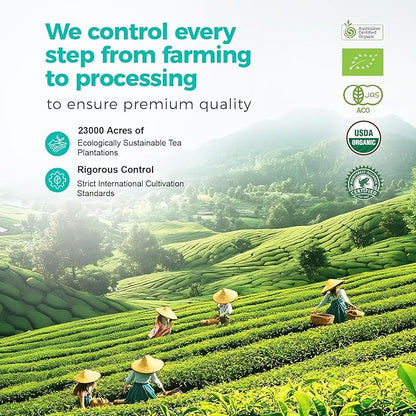 Emerail Organic Matcha Powder, USDA-Certified Pure Matcha Green Tea Powder, Premium Culinary Grade, Perfect for Lattes Smoothies and Baking, Sugar Free (450g / 15.9oz Pouch)