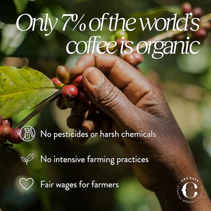 Cru Kafe Decaf USDA Organic Espresso Coffee Capsules (100 Pods) Fairtrade Coffee Pods Compatible with Nespresso Original Line and Pixie Machines