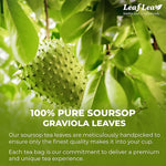 Load image into Gallery viewer, LeafLea 240 Premium Soursop Leaf Tea Bags, 100% Dried Soursop Graviola Leaves with a Smooth, Earthy Flavor, Hoja Guanabana Leaf Herbal Tea Bags for Natural Digestion Support, No Caffeine, Sugar-Free