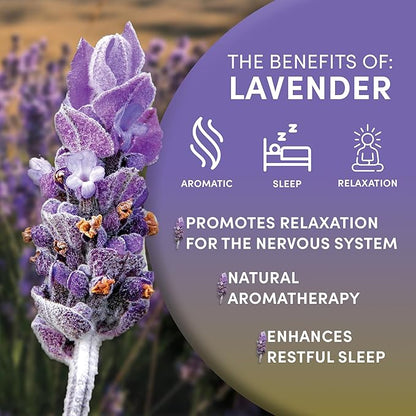 Worldwide Botanicals Organic Lavender Flowers, 1 lb, Pure European Lavender buds, Perfect for Aromatherapy, Sachets, Wedding celebrations, Tea flavoring, Eye pillows Scenting The Home