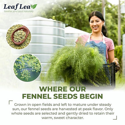 LeafLea 40 Fennel Tea Bags, 100% Natural & Pure Fennel Seed Tea, Gentle Digestion & Fresh Breath, Mild Sweet Finish, Caffeine-Free, Sugar-Free, Vegan, Non-GMO, Individually Wrapped