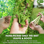 Load image into Gallery viewer, FreshDrinkUS, Premium 75 Tea Bags Tulsi Moringa Lemongrass, 100% Natural &amp; Pure from Tulsi Holy Basil Leaves, Moringa &amp; Lemongrass. Made with Natural Material Tea Bags. No Sugar, No Caffeine, Vegan.