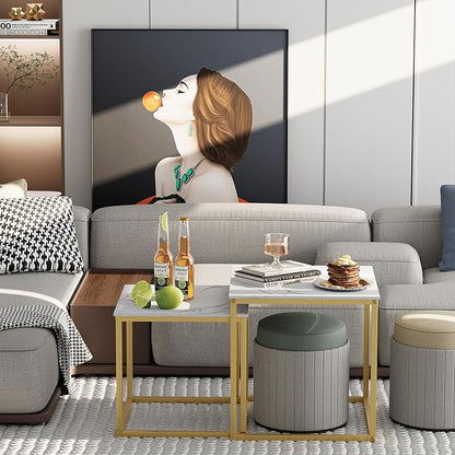 VILAWLENCE Coffee Table Set of 2, Modern Gold Wooden Side Table, Metal Frame Square End Table, Center Tables,Nesting Coffee Table for Living Room,Bedroom and Small Spaces