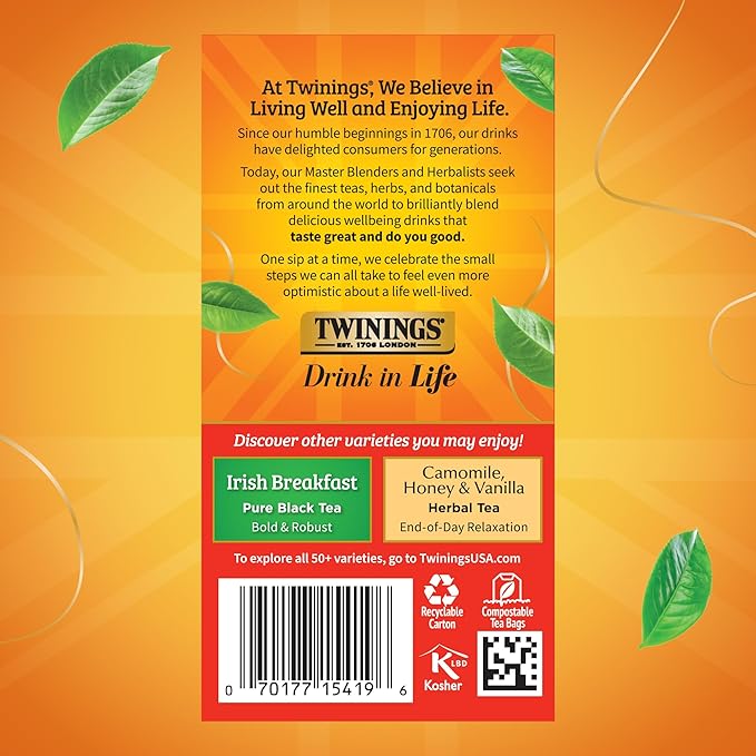 Twinings English Breakfast Black Tea Individually Wrapped Bags, 20 Count (Pack of 6), Flavourful, Robust, Caffeinated, Enjoy Hot or Iced, 120 Teabags