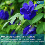 Load image into Gallery viewer, FreshDrinkUS, Premium 8oz Blue Butterfly Pea Flowers Dried – Premium Whole Flower Herbal Tea – Vibrant Blue Natural Color – Caffeine-Free Loose Flower Tea. Vegan