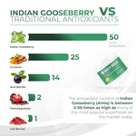 Load image into Gallery viewer, Amla Powder &amp; Decaf Green Tea Superfood Supplement, 20x Ultra Concentrated Amla, Antioxidant Support, Made with Oolong Tea and Indian Gooseberries, Organic, Vegan, Decaf, 30 Servings