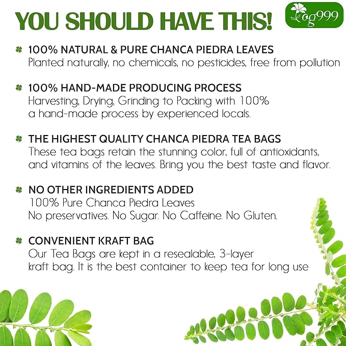 TOG999, 60 Tea bags Dried Chanca Piedra Leaves, Chanca Piedra Tea “Stone Breaker” 100% Natural & Pure. Made with Natural Material Tea Bags. No Sugar, No Caffeine, No Gluten, Vegan.