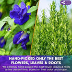 Load image into Gallery viewer, FreshDrinkUS, Clarity Calm Butterfly Pea Flower Tea – 60 Tea Bags Herbal Blend of Butterfly Pea Flower, Rosemary, Moringa, Lemongrass &amp; Licorice Root – Caffeine-Free. Sugar-Free. Gluten-Free. Vegan
