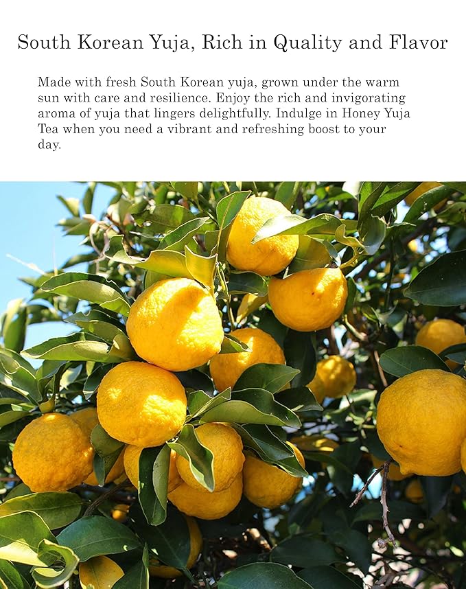 Damtuh Korean Honey Citron Tea 1.7lb (27.16 fl oz) – Traditional Yuzu Yuja Marmalade Preserve, Authentic Korean Fruit Honey Tea