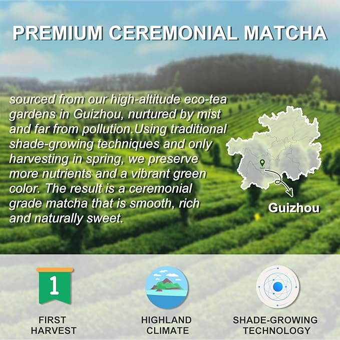 Letstay Ceremonial Grade Matcha Powder Highland Matcha Tea Organic Matcha Green Tea - Premium 1st Harvest - Zero Sugar, Halal Certified & SGS Certified & FSSC 22000, 30g (1.05oz) Tin