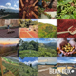 Load image into Gallery viewer, Kickstart - Espresso Blend - Roasted by Greater Goods Coffee Co. - Whole Bean Coffee - 2 Pound Bag