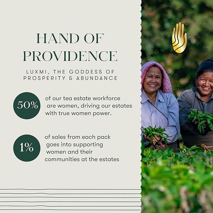 Luxmi Estates Citrus Sky Green Tea 100gm Tin | Certified Organic Darjeeling Green Tea