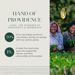 Load image into Gallery viewer, Luxmi Estates Masala Chai 50 Tea Bags (100g) Pack | Adda-Bari | Certified Organic Black Tea | Strong, Robust &amp; Aromatic Masala | Resealable, Zipper Pouch | Brew Hot, Iced &amp; Latte | Indian Spice Chai Tea | 50 Cups Bulk Pack