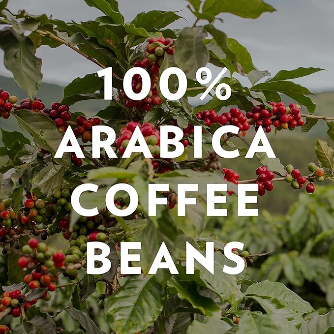 Community Coffee New Orleans Blend 24 Count Coffee Pods, Special Dark Roast, Compatible with Keurig 2.0 K-Cup Brewers, 24 Count (Pack of 2)