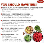 Load image into Gallery viewer, TOG999, 60 Tea Bags for Hormone Balance Menstrual Cycle Support, 100% Natural &amp; Pure from Red Raspberry Leaves with Spearmint Flavor. Natural Material Tea Bags. No Sugar, No Caffeine, Vegan. (60 Teabags)