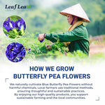 Load image into Gallery viewer, LeafLea 80 Butterfly Pea Flower Tea Bags, Natural Herbal Tea for Blue and Purple Drinks, Mocktails, and Food Coloring, Caffeine-Free, Sugar-Free, Non-GMO, Pack of 2