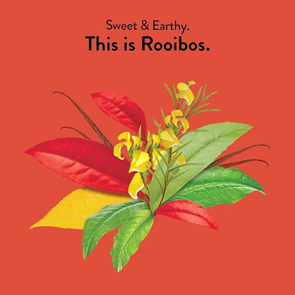 Choice Organic Teas Rooibos Tea - Fair Trade - Compostable - Caffeine Free - 48 Organic Herbal Tea Bags (Pack of 3)