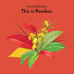 Load image into Gallery viewer, Choice Organics - Organic Rooibos Tea (6 Pack) - Fair Trade - Compostable - Caffeine Free - 96 Organic Herbal Tea Bags