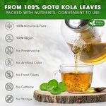 Load image into Gallery viewer, FreshDrinkUS, Premium Gotu Kola Leaf Tea – 75 Tea Bags | Pure Dried Centella Asiatica Leaves | Naturally Caffeine-Free Herbal Tea | Refreshing Aroma &amp; Smooth Taste | Premium Herbal Infusion. Vegan