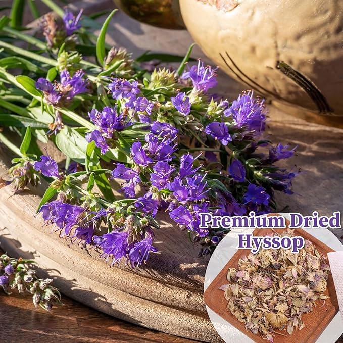 FullChea - Hyssop Tea Bags, 30 Teabags, 1.5g/bag - Premium Hyssop - Non-GMO - Caffeine-free - Support Digestion & Promote Relaxation