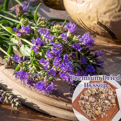 FullChea - Hyssop Tea Bags, 30 Teabags, 1.5g/bag - Premium Hyssop - Non-GMO - Caffeine-free - Support Digestion & Promote Relaxation
