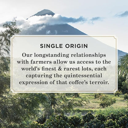 Peet's Coffee, Dark Roast Single Serve Coffee Pods - Single Origin Sumatra 32 Count (1 Box of 32 Pods)