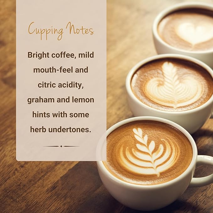 Guatemalan Coffee, Ground Coffee, Premium Guatemala Antigua Single Origin Fresh Roasted Ground Coffee | Cubico Coffee | 12 Ounce Bag