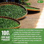 Load image into Gallery viewer, FreshDrinkUS, Premium 2oz Natural Pandan Leaves Dried, 100% Pure Dried Pandan Leaves, Pandan Leaf Tea, No Additives, No Caffeine, Vegan (2 oz Dried Leaves)