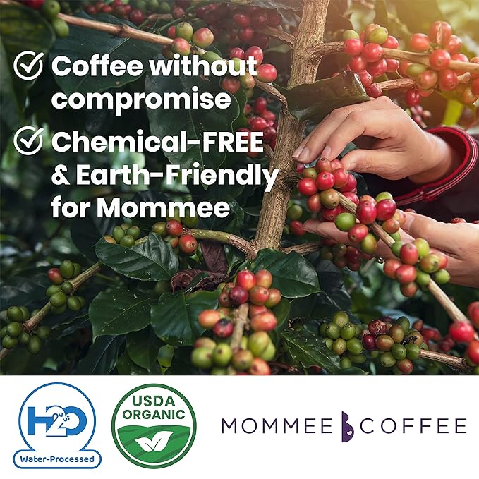 Mommee Coffee - Decaf | Low Acid, Organic, Fair Trade, Water Processed | Ground, 22 oz.