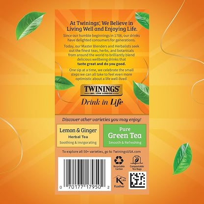 Twinings Orange & Cinnamon Spice Herbal Tea Individually Wrapped Bags, 20 Count (Pack of 6), Naturally Caffeine-Free, Enjoy Hot or Iced, 120 Teabags