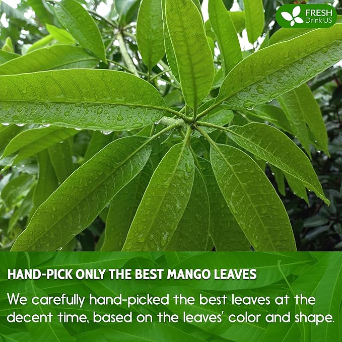 FreshDrinkUS, Premium 100 Mango Leaf Tea Bags, 100% Natural & Pure from Mango Leaves. Loose Leaf Herbal Tea. No Sugar, No Caffeine, No Gluten, Vegan.
