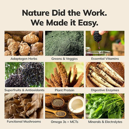 Ka’Chava Whole Body Meal Shake Matcha 2 lb – Vegan Protein Powder with 85+ Superfoods & Greens – Plant-Based Meal Replacement with Probiotics & Digestive Enzymes – Gluten & Dairy Free (15 Servings)