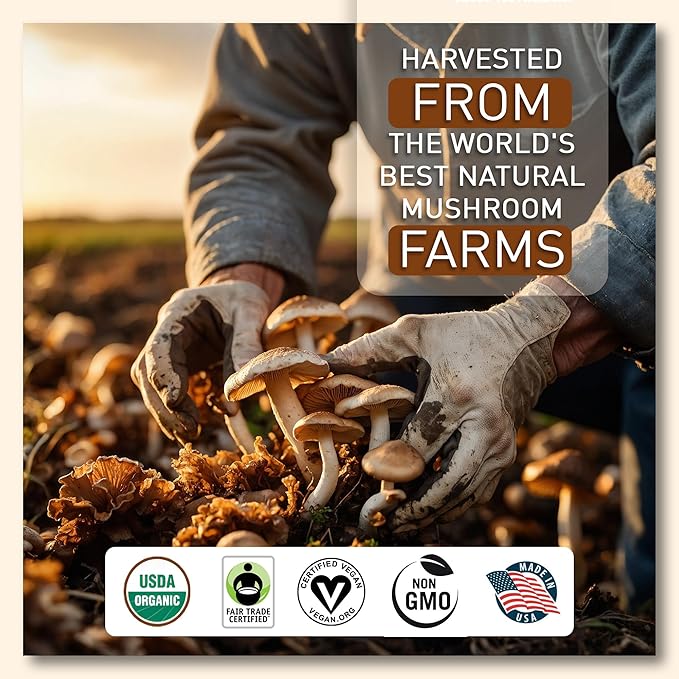 La Republica Organic Instant Mushroom Coffee (2.5oz) + Decaf (2.5oz) - 70 Servings with Coasters & Mixing Spoon - 100% Arabica with Lion's Mane, Reishi, Chaga, Cordyceps, Shiitake, Maitake, Turkey Tail