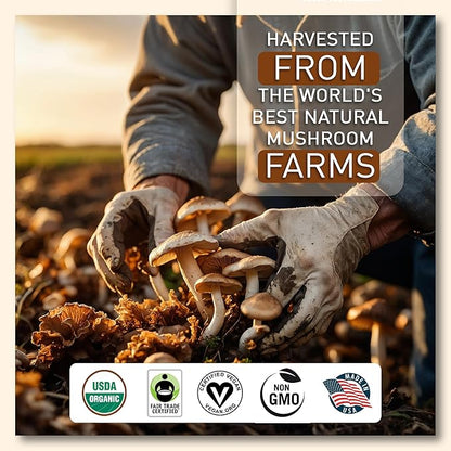 La Republica Organic Instant Mushroom Coffee (2.5oz) + Decaf (2.5oz) - 70 Servings with Coasters & Mixing Spoon - 100% Arabica with Lion's Mane, Reishi, Chaga, Cordyceps, Shiitake, Maitake, Turkey Tail