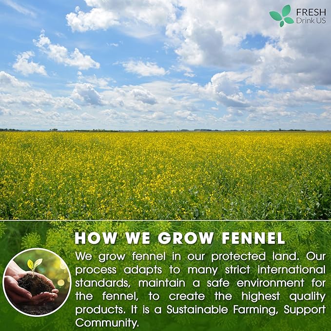 FreshDrinkUS, Premium 135 Fennel Tea Bags, 100% Natural & Pure from Fennel Seeds. Made with Natural Material Tea Bags. No Sugar, No Caffeine, No Gluten, Vegan.
