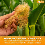 Load image into Gallery viewer, FreshDrinkUS, Dried Corn Silk 20oz | Premium Whole Corn Silk for Tea &amp; Herbal Infusions | Naturally Air-Dried, Non-GMO, Caffeine-Free | Perfect for Daily Herbal Tea, DIY Blends &amp; Natural Brewing