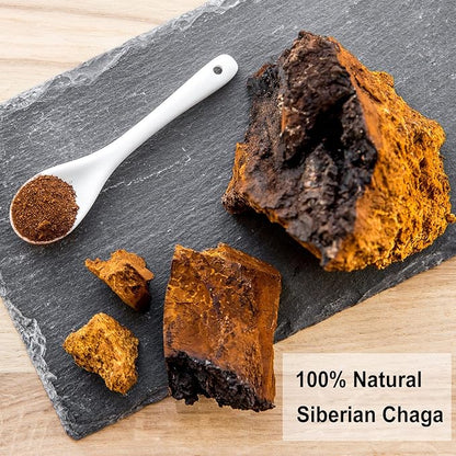 TEARELAE - Chaga Tea - 2g x 40 Count - Wild Harvest from Siberia - 100% Pure Natural Chaga Mushroom Tea Bag - Additive-Free - Non-GMO - Caffeine-free (Pack of 2)
