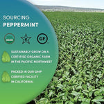 Load image into Gallery viewer, Worldwide Botanicals Organic Peppermint Loose Leaf Tea, 1 lb - Pacific Northwest Organic Cultivation, Highly Aromatic Digestive Tea, Antioxidant, Caffeine Free, 16 ounce