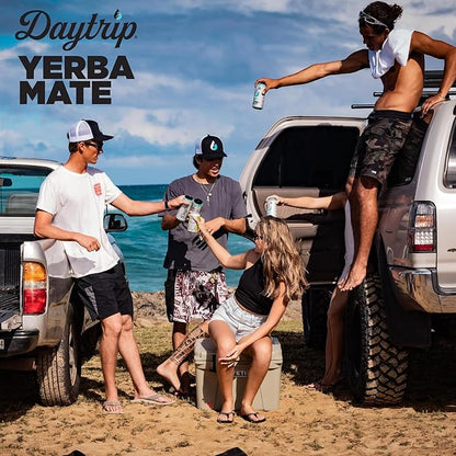 Daytrip Organic Yerba Mate Energy Drink- Clean, Plant Based Caffeine (200mg) with Adaptogenic Mushrooms and Green Tea for Focus and Brain Fog - Low Calorie, Low Sugar (12 Pack Case)