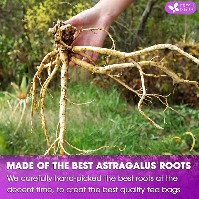 FreshDrinkUS, Premium 75 Astragalus Root Tea Bags, 100% Natural & Pure from Astragalus Root Herbal Tea. Made with Natural Material Tea Bags. No Sugar, No Caffeine, No Gluten, Vegan.