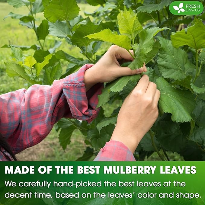 FreshDrinkUS, Permium 8oz Mulberry Leaves, 100% Natural & Pure from Mulberry Leaves, Loose Leaf Herbal Tea, No Additives, No Caffeine, Vegan
