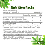 Load image into Gallery viewer, FreshDrinkUS, Evening Time Detox Herbal Tea – 30 Tea Bags – Caffeine-Free Blend with Senna, Peppermint, Chamomile, Licorice, Ginger, Reishi Mushroom – Relaxing Herbal Infusion – Non-GMO &amp; Natural