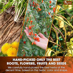 Load image into Gallery viewer, TOG999, Organic Dandelion Wolfberry Tea, 9 Herbal Ingredients, Traditional Recipe Tea for Kidney &amp; Liver, Natural Dandelion, Wolfberry, Gardenia, Cassia Seed, Chrysanthemum, Licorice, Orange Peel