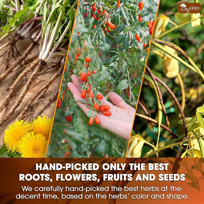 TOG999, Organic Dandelion Wolfberry Tea, 9 Herbal Ingredients, Traditional Recipe Tea for Kidney & Liver, Natural Dandelion, Wolfberry, Gardenia, Cassia Seed, Chrysanthemum, Licorice, Orange Peel